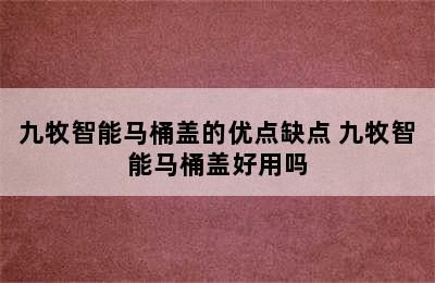 九牧智能马桶盖的优点缺点 九牧智能马桶盖好用吗